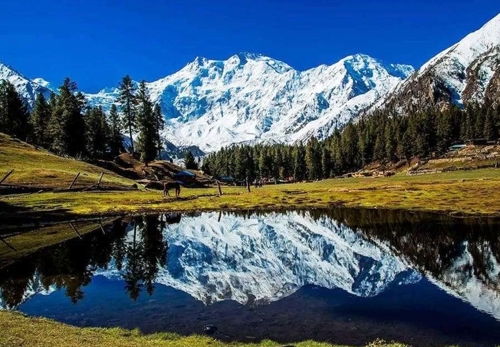Fairy Meadows, Nanga Parbat