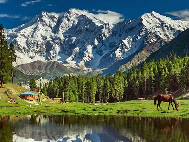 Fairy Meadows Tour