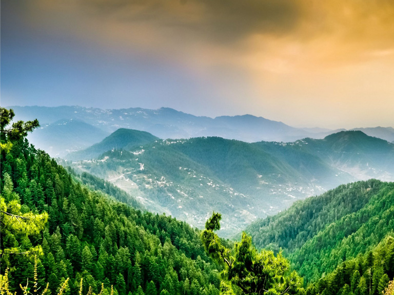 Murree Day Tour