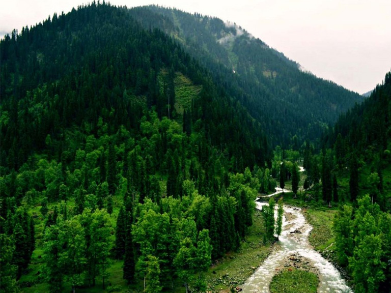 Nathia Gali Tour